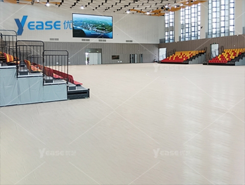 廣東省東莞市大灣區大學體育館